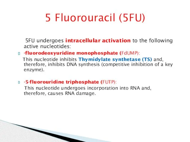 5 Fluorouracil (5FU) 5FU undergoes intracellular activation to the following active