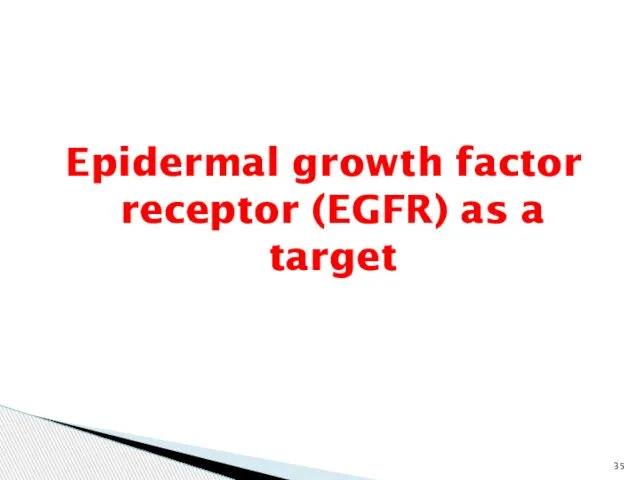 Epidermal growth factor receptor (EGFR) as a target