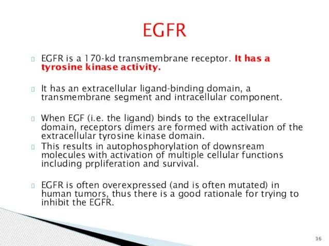 EGFR EGFR is a 170-kd transmembrane receptor. It has a tyrosine