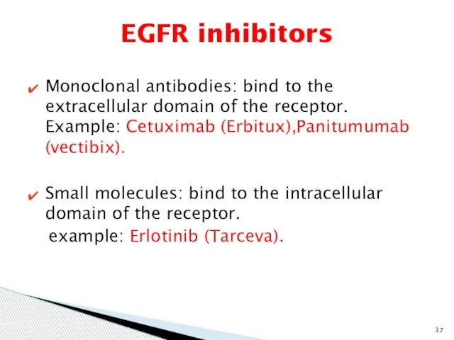 EGFR inhibitors Monoclonal antibodies: bind to the extracellular domain of the