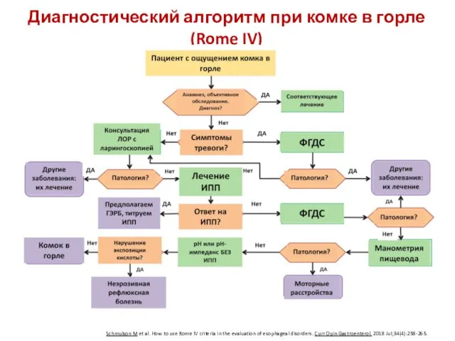 Диагностический алгоритм при комке в горле (Rome IV) Schmulson M et