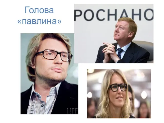 Голова «павлина»