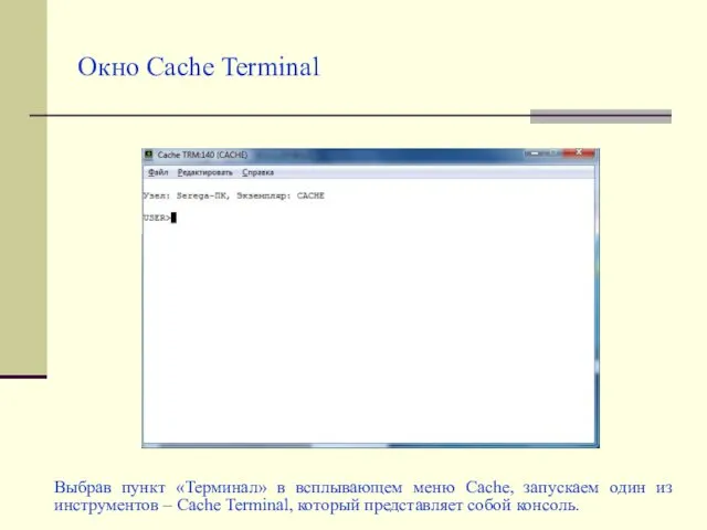 Окно Cache Terminal Выбрав пункт «Терминал» в всплывающем меню Cache, запускаем