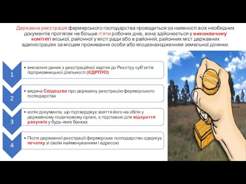 Державна реєстрація фермерського господарства проводиться за наявності всіх необхідних документів протягом