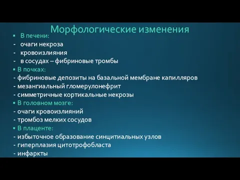 Морфологические изменения В печени: очаги некроза кровоизлияния в сосудах – фибриновые