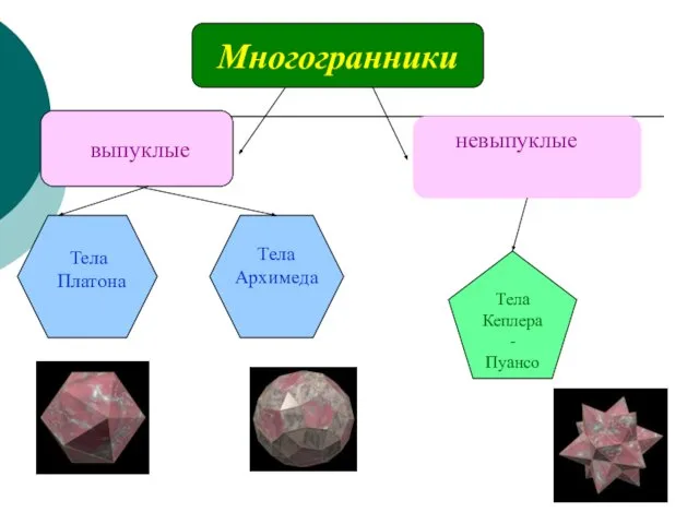 Многогранники выпуклые невыпуклые Тела Архимеда Тела Платона Тела Кеплера- Пуансо