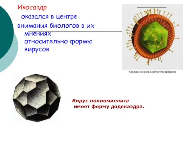 Икосаэдр оказался в центре внимания биологов в их мнениях относительно формы