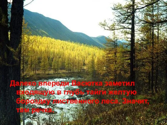 Далеко впереди Васютка заметил входящую в глубь тайги желтую бороздку лиственного леса. Значит, там речка.