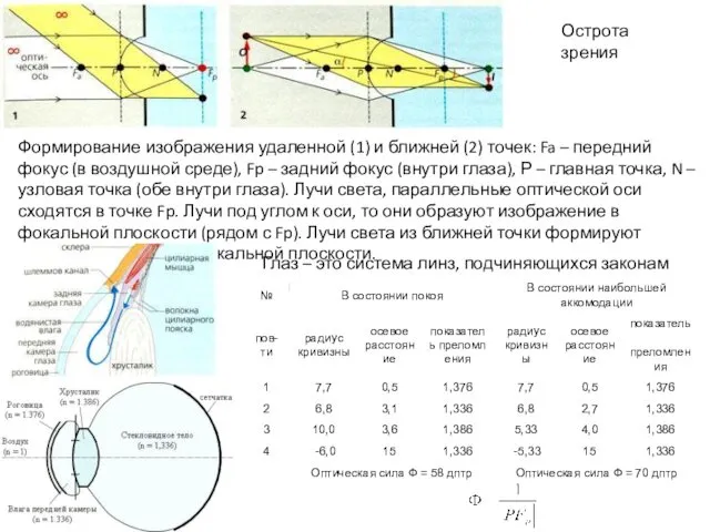 Острота зрения Формирование изображения удаленной (1) и ближней (2) точек: Fa