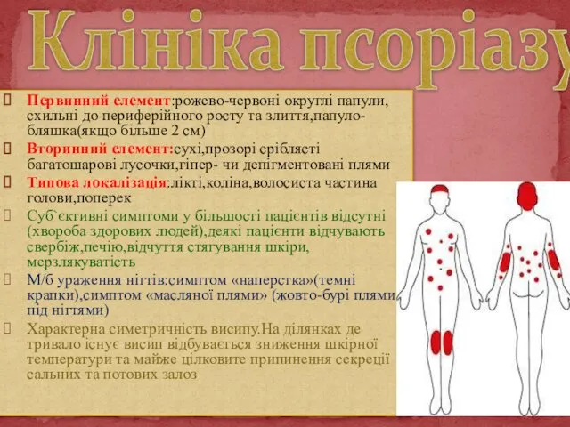 Первинний елемент:рожево-червоні округлі папули,схильні до периферійного росту та злиття,папуло-бляшка(якщо більше 2