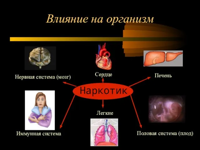 Влияние на организм Наркотик Нервная система (мозг) Иммунная система Сердце Печень Легкие Половая система (плод)