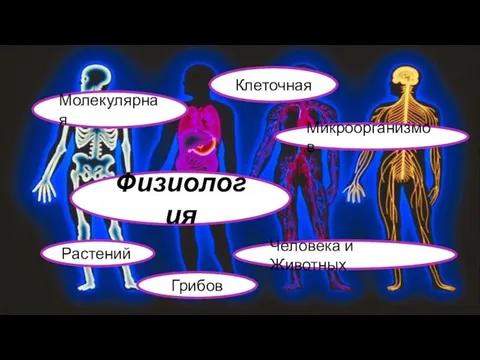 Физиология Микроорганизмов Клеточная Молекулярная Человека и Животных Растений Грибов