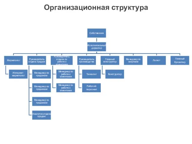 Организационная структура