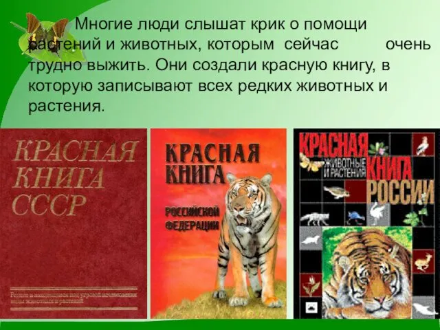 Многие люди слышат крик о помощи растений и животных, которым сейчас