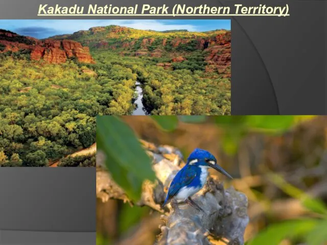Kakadu National Park (Northern Territory)