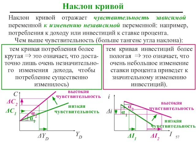 Наклон кривой Наклон кривой отражает чувствительность зависимой переменной к изменению независимой