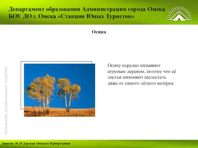 Департамент образования Администрации города Омска БОУ ДО г. Омска «Станция Юных