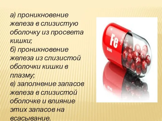 а) проникновение железа в слизистую оболочку из просвета кишки; б) проникновение