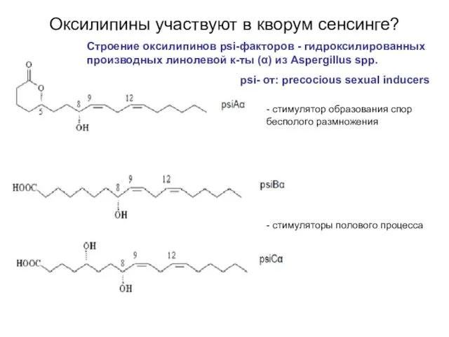 Оксилипины участвуют в кворум сенсинге? Строение оксилипинов psi-факторов - гидроксилированных производных