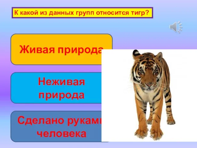 Живая природа Неживая природа Сделано руками человека К какой из данных групп относится тигр?