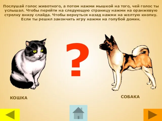 КОШКА СОБАКА ? Послушай голос животного, а потом нажми мышкой на