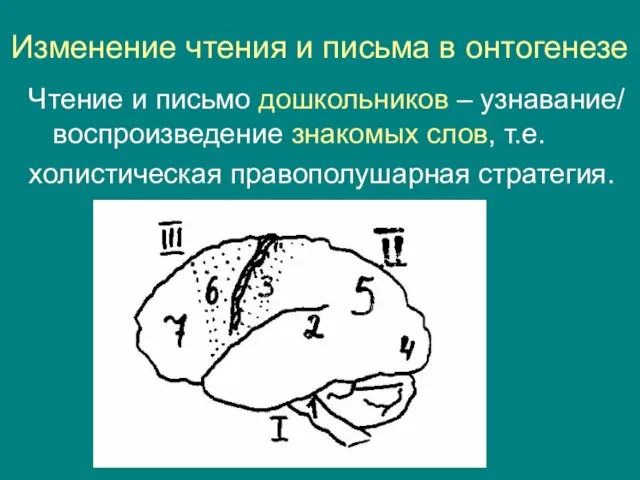 Изменение чтения и письма в онтогенезе Чтение и письмо дошкольников –