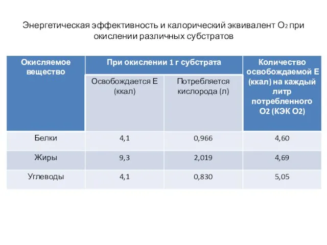 Энергетическая эффективность и калорический эквивалент О2 при окислении различных субстратов