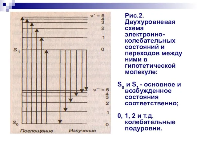 Рис.2. Двухуровневая схема электронно-колебательных состояний и переходов между ними в гипотетической