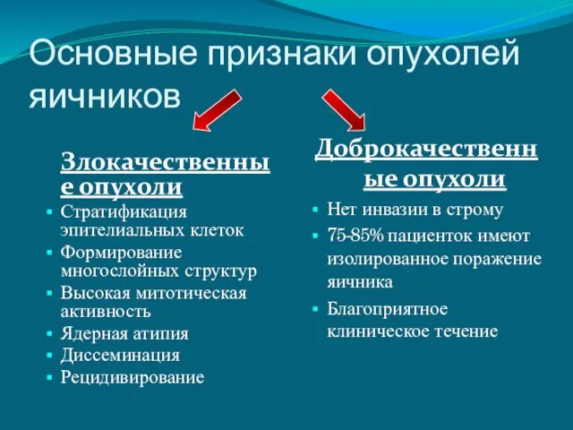 Основные признаки опухолей яичников Злокачественные опухоли Стратификация эпителиальных клеток Формирование многослойных