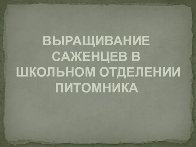 ВЫРАЩИВАНИЕ САЖЕНЦЕВ В ШКОЛЬНОМ ОТДЕЛЕНИИ ПИТОМНИКА