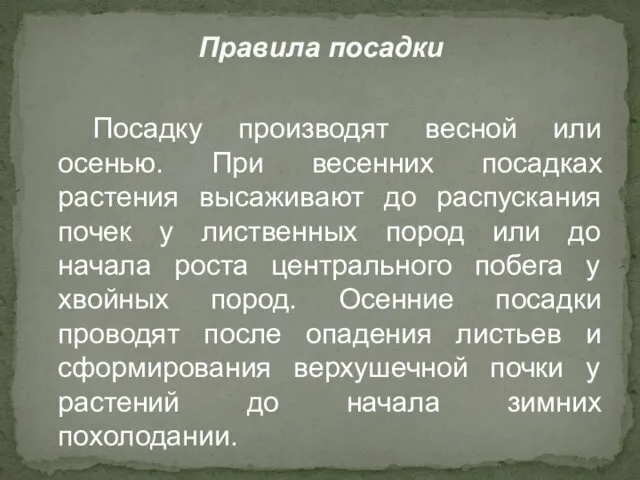 Посадку производят весной или осенью. При весенних посадках растения высаживают до