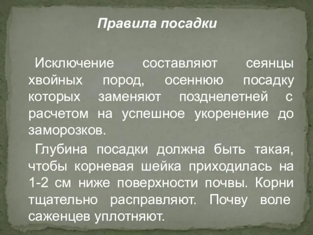 Исключение составляют сеянцы хвойных пород, осеннюю посадку которых заменяют позднелетней с