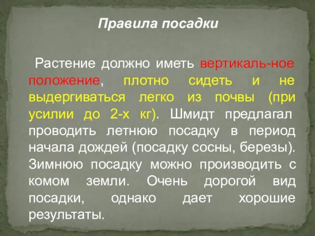 Растение должно иметь вертикаль-ное положение, плотно сидеть и не выдергиваться легко