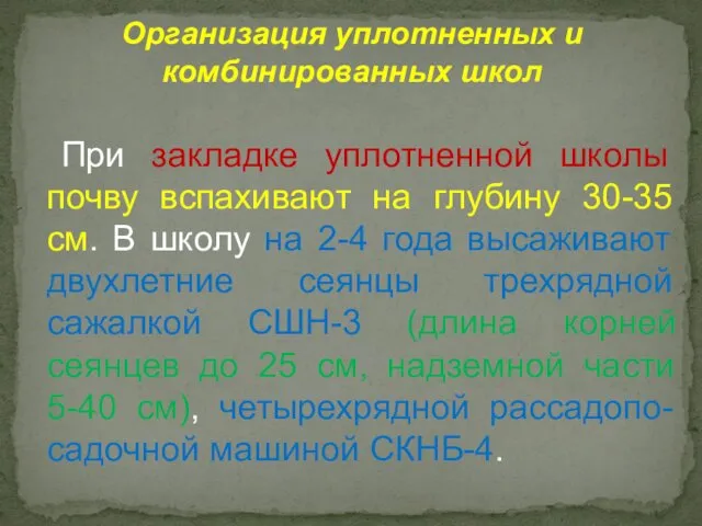 При закладке уплотненной школы почву вспахивают на глубину 30-35 см. В