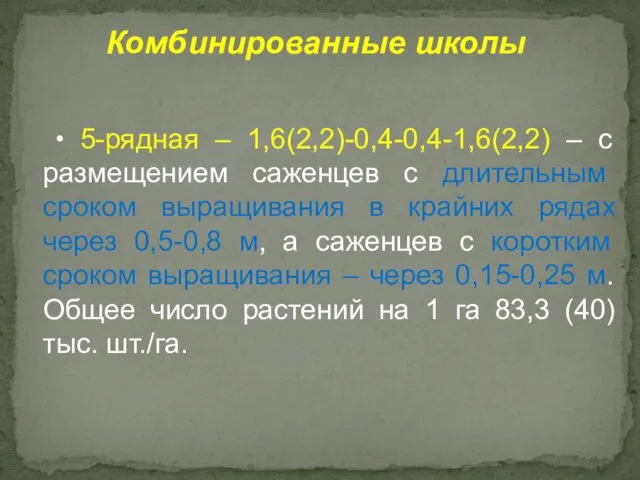 • 5-рядная – 1,6(2,2)-0,4-0,4-1,6(2,2) – с размещением саженцев с длительным сроком