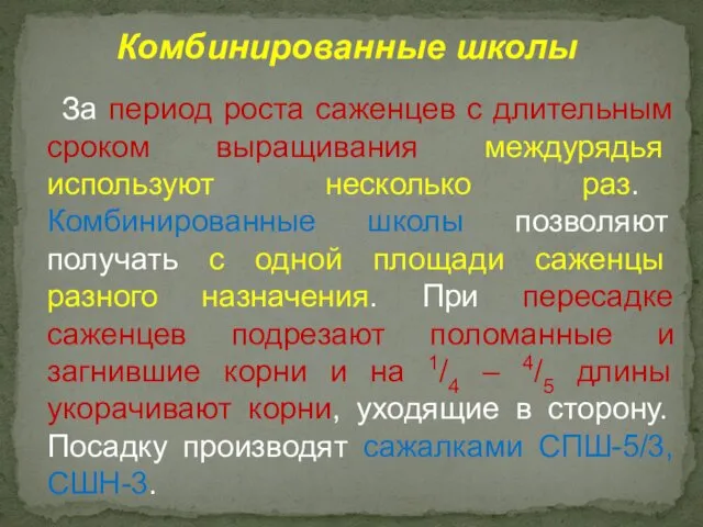 За период роста саженцев с длительным сроком выращивания междурядья используют несколько