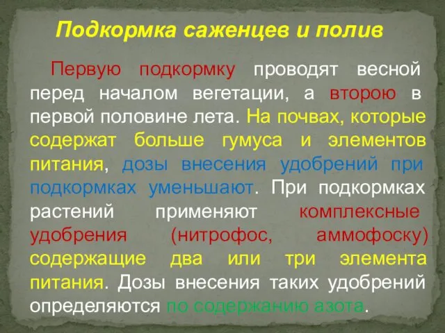 Первую подкормку проводят весной перед началом вегетации, а второю в первой