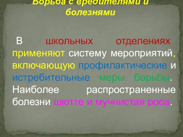 В школьных отделениях применяют систему мероприятий, включающую профилактические и истребительные меры