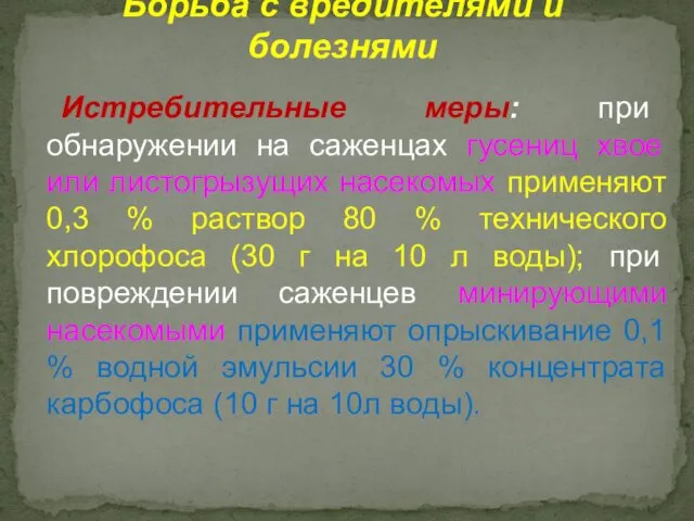 Истребительные меры: при обнаружении на саженцах гусениц хвое или листогрызущих насекомых