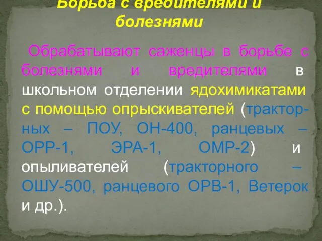 Обрабатывают саженцы в борьбе с болезнями и вредителями в школьном отделении