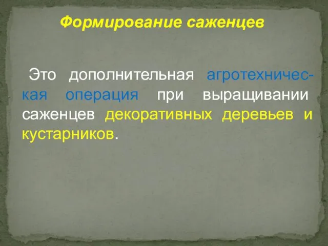 Это дополнительная агротехничес-кая операция при выращивании саженцев декоративных деревьев и кустарников. Формирование саженцев