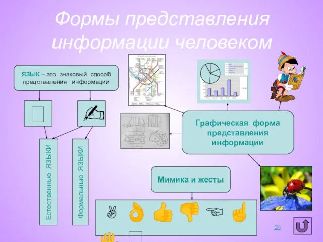 Формы представления информации человеком ЯЗЫК – это знаковый способ представления информации