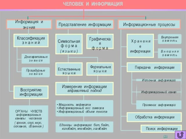 ЧЕЛОВЕК И ИНФОРМАЦИЯ ОРГАНЫ ЧУВСТВ информационные каналы человека ( зрение, слух,