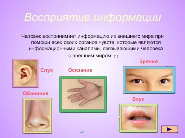 Восприятие информации Человек воспринимает информацию из внешнего мира при помощи всех