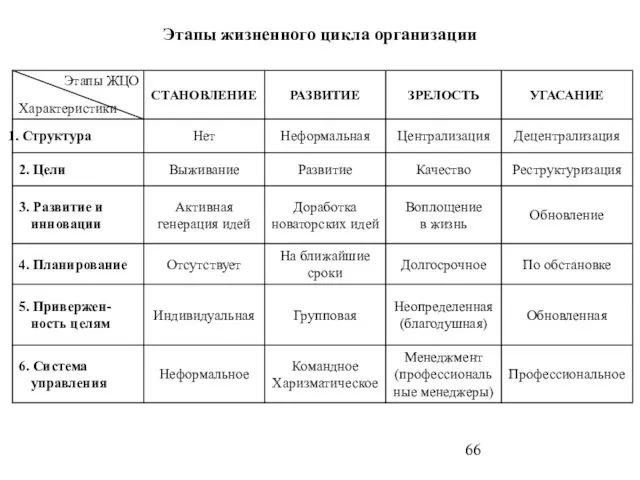 Этапы жизненного цикла организации Этапы ЖЦО