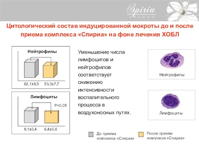 Нейтрофилы Цитологический состав индуцированной мокроты до и после приема комплекса «Спириа»