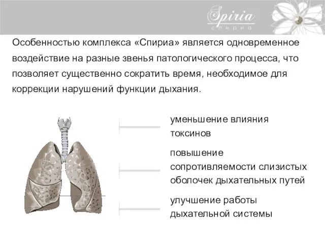 Особенностью комплекса «Спириа» является одновременное воздействие на разные звенья патологического процесса,