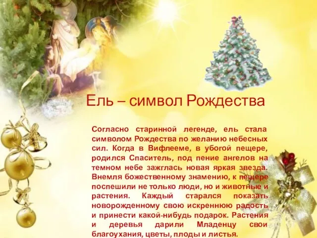 Ель – символ Рождества Согласно старинной легенде, ель стала символом Рождества