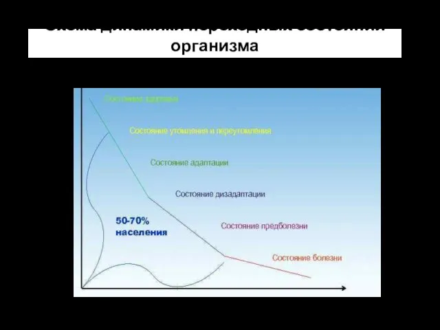 Схема динамики переходных состояний организма