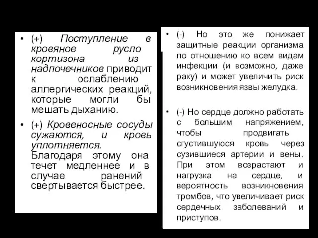 (+) Поступление в кровяное русло кортизона из надпочечников приводит к ослаблению